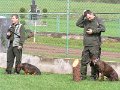 Polovnicke zdruzenie-Lipie   58